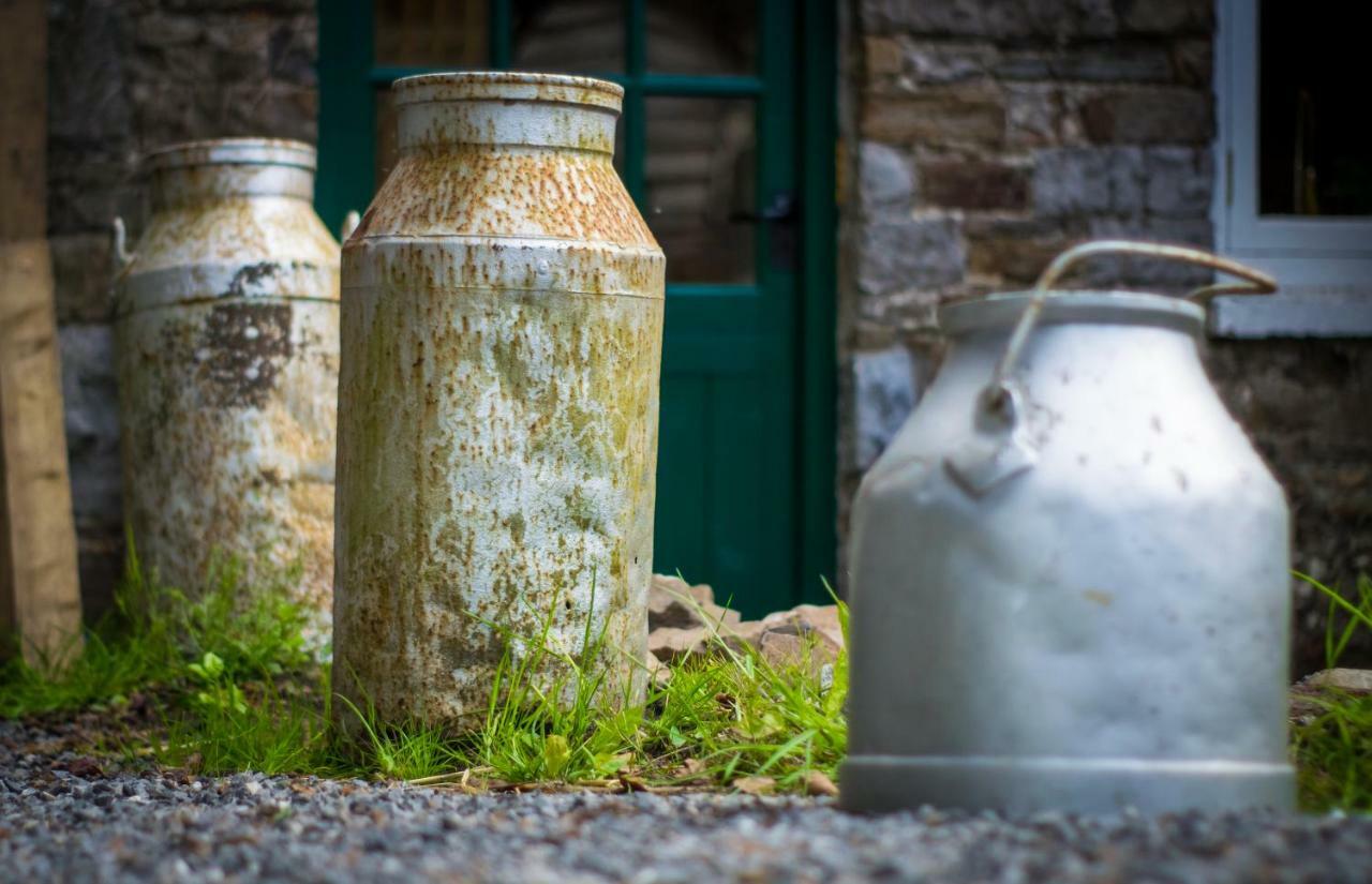 Pontyclerc Farm House Bed And Breakfast Ammanford Bagian luar foto